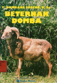 Beternak Domba