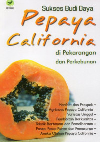 Sukses Budi Daya Pepaya California di Pekarangan dan Perkebunan